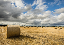 Farmland, an important source of revenue (Photo: Pixabay)