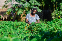 A cassava farmer in Tanzania (Photo: Neil Palmer/CIAT)
