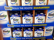 Roundup in a garden centre (Photo: Mike Mozart/flickr.com)
