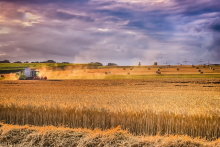 Agricultural intensification has led to biodiversity decline (Photo: CC0)