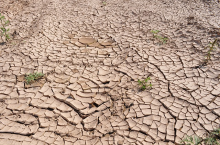Climate change is a reality - believe it or not (Photo: CC0)