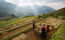 Small farms feed the world (Photo: CC0)