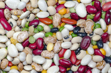 Pulses are great - and colourful (Photo: CC0)