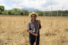Climate change will affect farmers in Central America (Photo: Neil Palmer/CIAT)