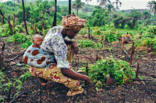 Empowering women is key to food security (Photo: CC0)