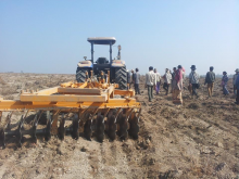 Fields and forests are converted into sugarcane plantations (Photo: Prame community)