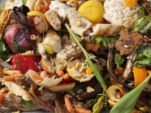 Reducing food waste can help mitigate climate change (Photo: Starr/Flickr.com)