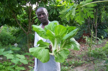 Small farms feed the world (Photo: CC0)