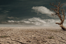 We need to tackle the climate, biodiversity & land degradation crises (Photo: CC0)