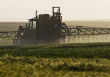 Climate-smart farming? (Photo: Erich Westendarp/pixelio.de)
