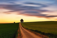 Visions for the future of food systems (Photo: CC0)