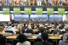Plenary of the CFS (Photo: FAO/Giuseppe Carotenuto)