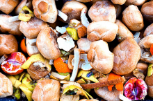 Wasted food (Photo: Andrea Leganza/flickr)