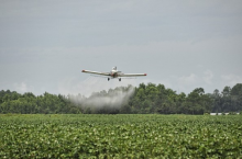 Aerial pesticide spraying of crops (Photo: CC0)