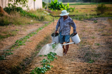 Farmers need access to water (Photo: CC0)