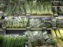 Most bagged salad ends up in the bin (Photo: Globalism Pictures)