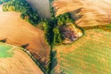 Droht eine Elefantenhochzeit? (Foto: Pixabay, baludo, CC0)