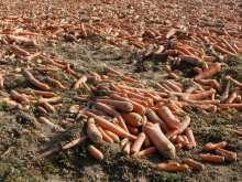 Food waste - a growing problem? (Photo: CC0)