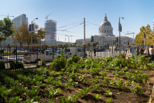 Urban farming in San Francisco (Photo: SPUR, Sergio Ruiz, bit.ly/4_CC_BY_2-0, bit.ly/SRuiz)
