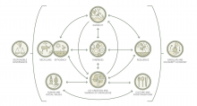 The FAO 10 Elements of Agroecology
