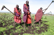 Tanzania: Men cultivating land Photo: Geoff Sayer/Oxfam