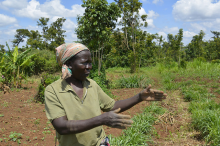A change of course in global agriculture is needed (Photo: CIAT/Flickr.com)