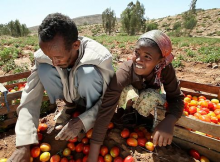Goal 2 focuses on food and farming (Photo: World Bank)