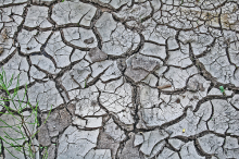 Drought and floods could disrupt food supply chains (Photo: Janos Balazs, flickr.com)