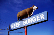 Beef is bad for the environment (Photo: Charles Henry/flickr)