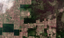 Deforestation caused by livestock agriculture in Paraguay (Photo: European Space Agency)
