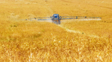 US farmers use many pesticides banned elsewhere (Photo: CC0)