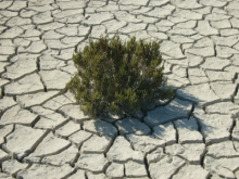 Land degradation (Photo: Julia Schäfer/pixelio.de)