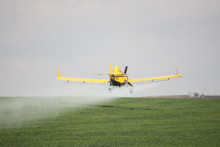 Is this climate-smart farming? (Photo: cdn-pix/flickr.com)