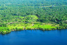 Amazon rainforest in danger Photo: Neil Palmer/CIAT