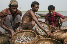 Fishermen in Bangladesh (Photo: Finn Thilsted/flickr)