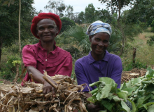 Agroecological practices (Photo: Find Your Feet/flickr)