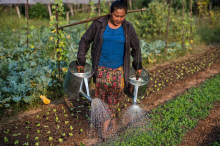 Organic farmer in Laos (Photo: Asian Development Bank/flickr)