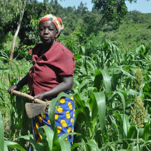 Celebrating African rural women (Photo: JRecha/CCAFS)