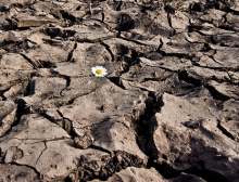 Soil erosion is putting soils at risk (Photo: Hernán Piñera/flickr.com)
