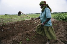 FAO: “The acquisition of already-utilised land to establish new large farms should be avoided” (Photo: Africa Renewal/flickr)