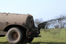 Nitrogen pollution is a key threat (Photo: CC0)