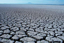 Agriculture is not only a driver but also a victim of climate change (Photo: Lighttruth)