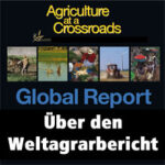 Global Report