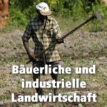Bäuerliche und industrielle Landwirtschaft