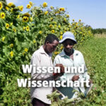 Wissen und Wissenschaft