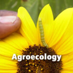 Topics - Agroecology