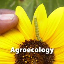 Topics - Agroecology