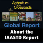 Topics - Global Report