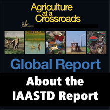Topics - Global Report