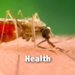 Topics - Health